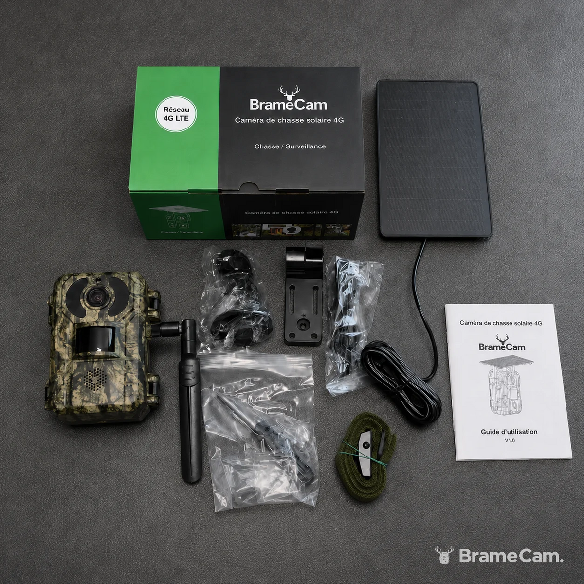 4G Wildkamera mit Solarpanel – ohne WLAN & ohne Vertrag, inkl. SIM + 128 GB MicroSD