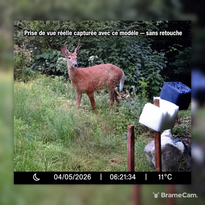 WLAN Wildkamera 32 MP Full HD – Bilder aufs Smartphone vor Ort, Nachtsicht 46 LED