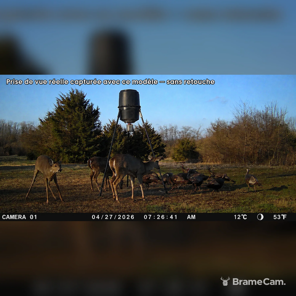 Wildkamera Full HD 1080p Tag & Nacht – Infrarot-Nachtsicht, wetterfest